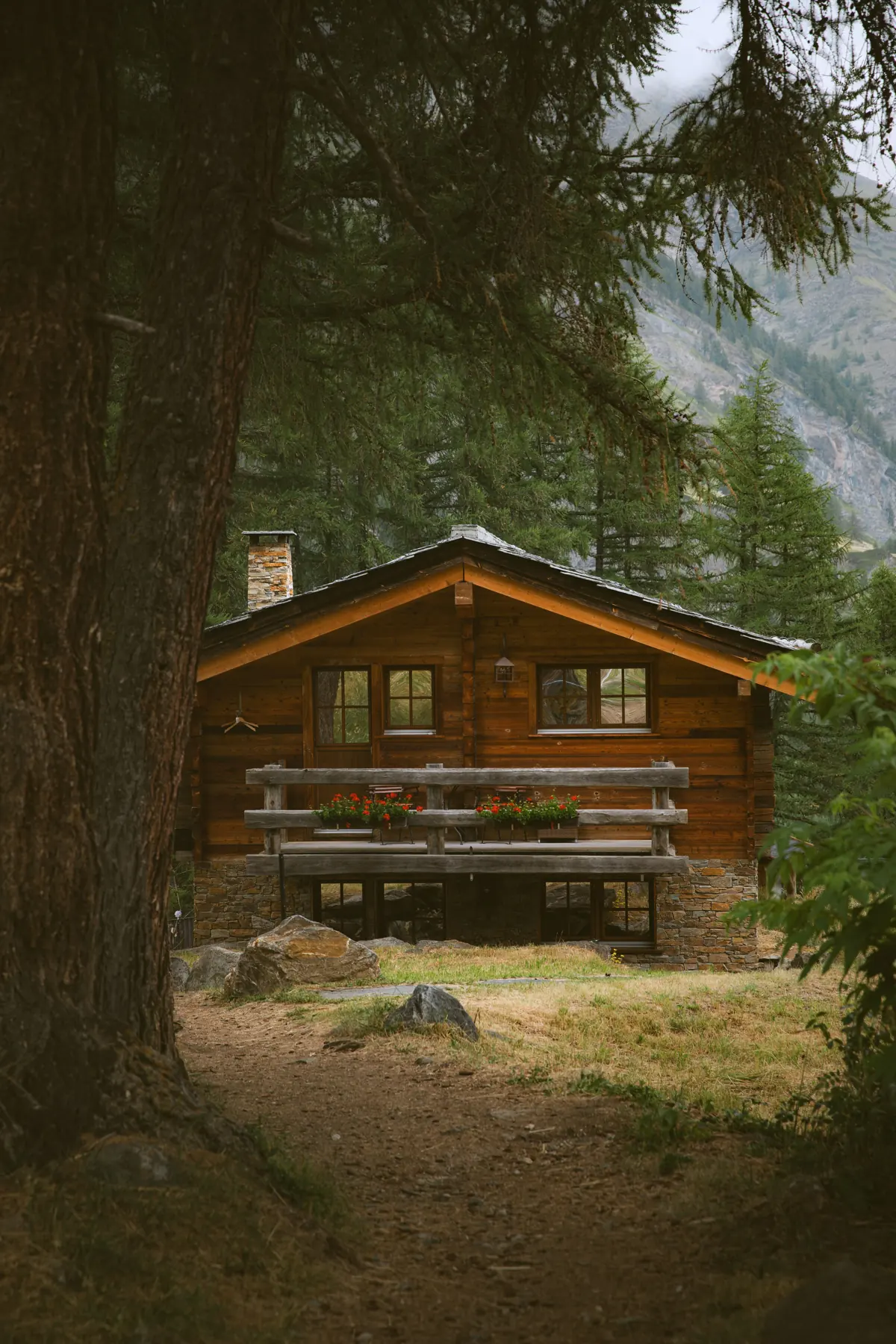 Maison en bois au milieu des arbres
