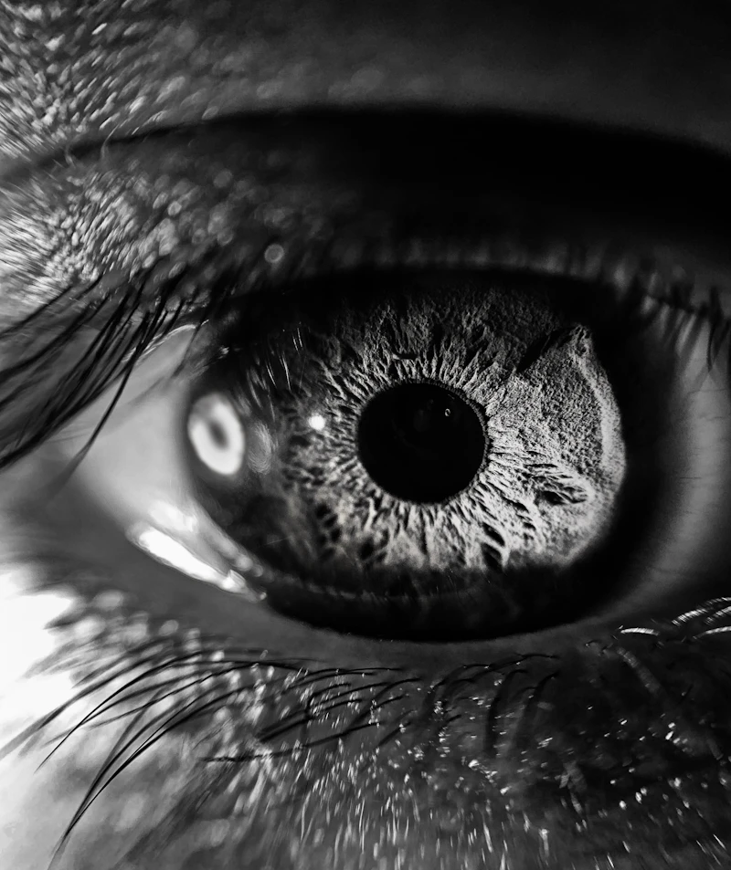 Gros plan d’un œil en noir et blanc